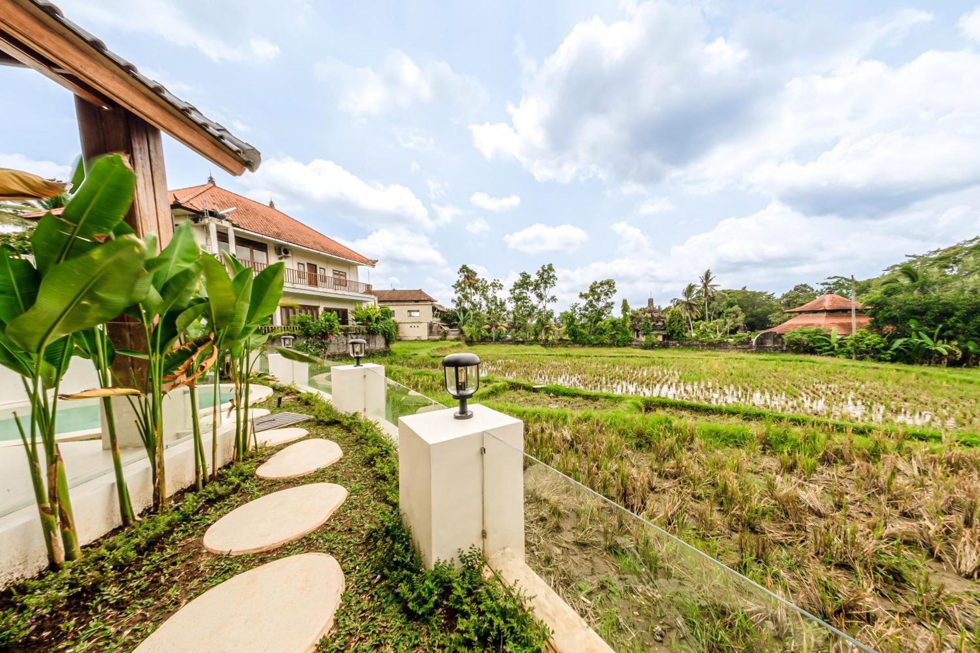Sarang Apartments By Evdekimi Ubud Номер фото